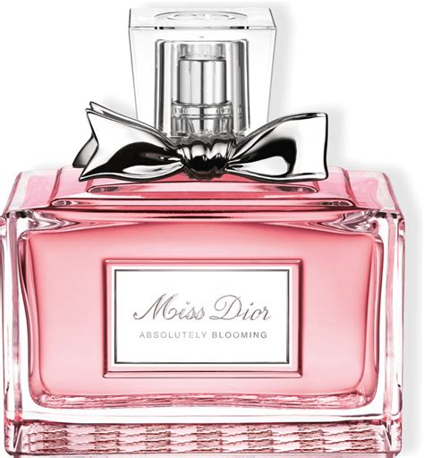 dior parfum idealo|dior perfumes online.